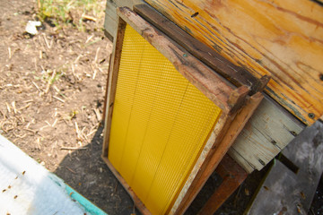 new honeycomb frames for hives