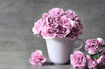Pink carnation flowers in cup on grey background. - obrazy, fototapety, plakaty