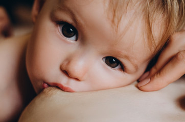 A Mother breastfeeding her little baby in her arms. close up mom nursing and feeding small kid....