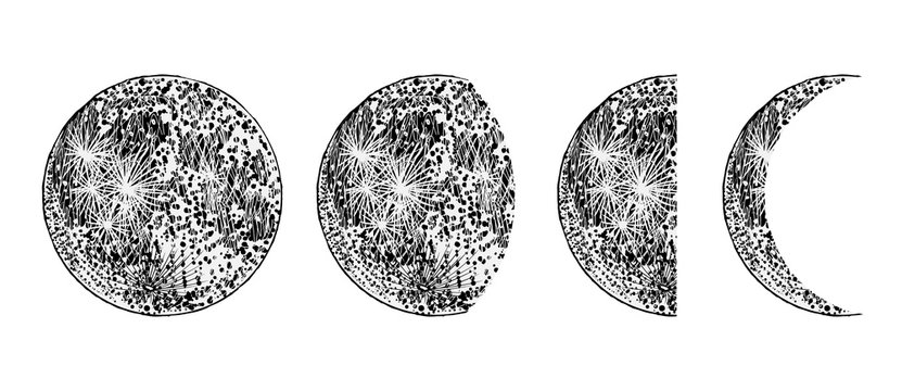 Realistic moon phases image on white background. Hand drawn cycle of moon phases. Vector