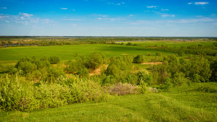 Fototapeta na wymiar River, trees and the field on a sunny summer day. Voroninsky National Park, Tambov Oblast, Russia.