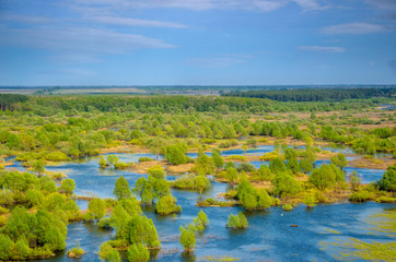 Horizontal landscape: the river flooded the valley. River and the field on a sunny summer day. Voroninsky National Park, Tambov Oblast, Russia.