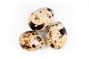 quail eggs on white background