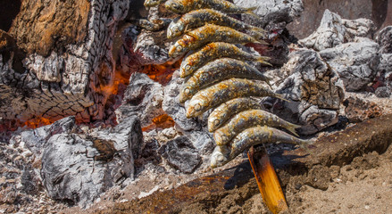 Grilling espetos at Malaga Chiringuito, Spain