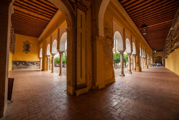 Courtyard taken from porticoed sorrouding area. Mosque of Cordoba, Spain
