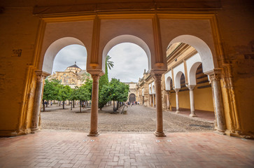 Courtyard taken from porticoed sorrouding area. Mosque of Cordoba, Spain