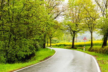 Countryside road in rainy day.