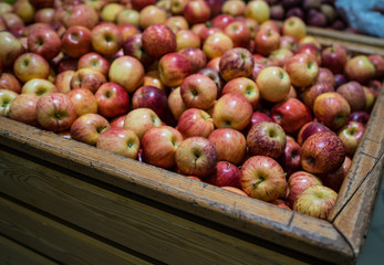 Ripe apple in wooden box Fresh striped apples in wooden box with straw