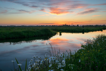 Fototapeta na wymiar Beautiful colorful sunset over the dutch polder landscape. Reflections in the calm water of the canal and wildflowers in the foreground.