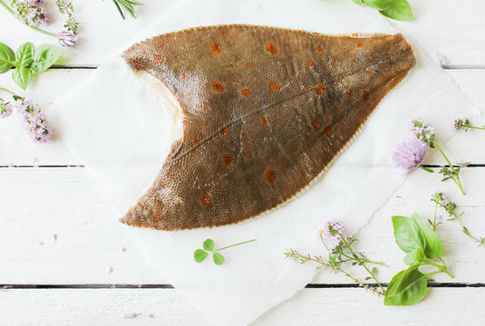 fangfrische Scholle Maischolle von oben