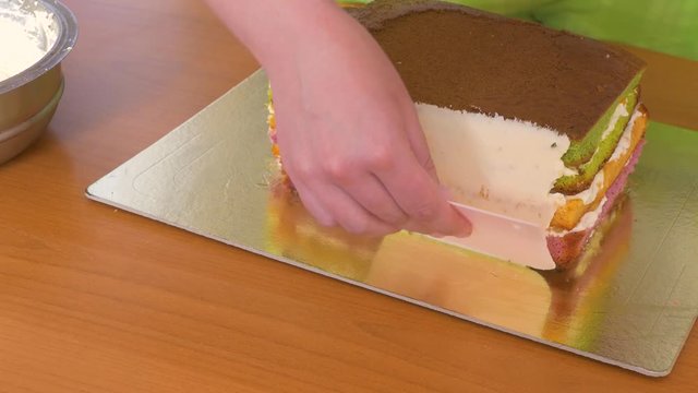 cutting onion