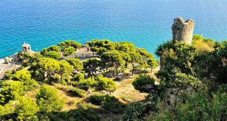 A view form a hill