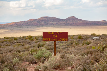 Watch out for snakes and lizards sign in the desert Grand Canyon
