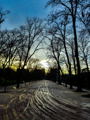 sunset in the park of madrid
