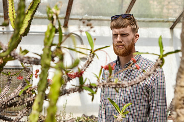 Horizontal shot of handsome serious young male with thick beard wearing checkered shirt and shades on head, squinting eyes because of bright sunshine, posing in greenhouse among beautiful plants