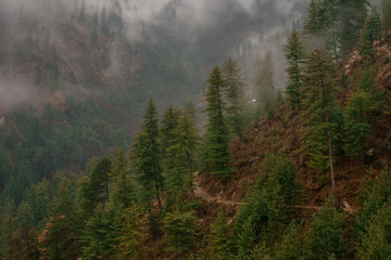 Fog and snow on mountain. Landscape in vintage style