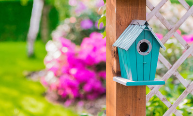 Spring in the gatden