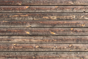 A beautiful horizontal texture of old yellow and brown boards with knots and resin and hammered nails in the photo