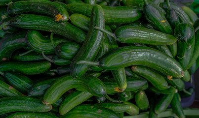 Selection of green small cucumbers on sale at a farmer's market.