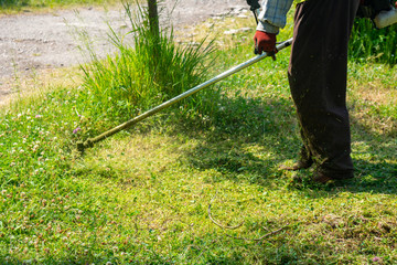 The gardener cutting grass by lawn mower, lawn care