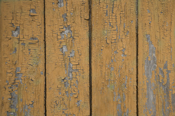 Wood Texture Background with natural pattern. Orange.