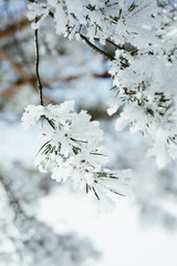 Winter in Jevnaker