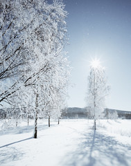 Winter in Jevnaker