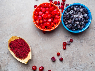 cranberries blueberries, viburnum berry powder