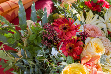  flowers collected in a bouquet on a blurred background.