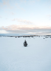 Obraz premium The Hafjell ski area