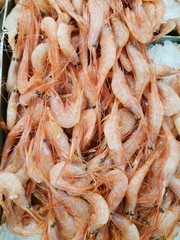 prawns and crayfish in the market