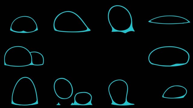 10 Water Bubble Overlays 2