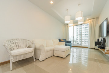 Luxury nicely decorated modern living room