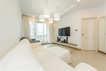 Luxury nicely decorated modern living room
