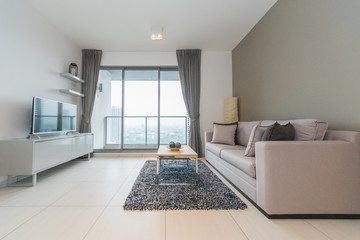 Luxury nicely decorated modern living room