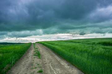 Fototapeta na wymiar Country road through a field of green cereals and dark rainy clouds in the sky