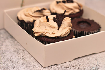 beautiful chocolate cream covered cupcakes in a white box tied with a rope on a concrete background
