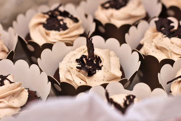 beautiful chocolate cream covered cupcakes in a white box tied with a rope on a concrete background