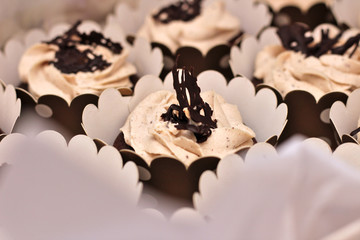 beautiful chocolate cream covered cupcakes in a white box tied with a rope on a concrete background