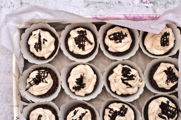 beautiful chocolate cream covered cupcakes in a white box tied with a rope on a concrete background