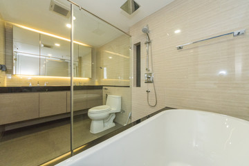 Modern bathroom in luxury house 
