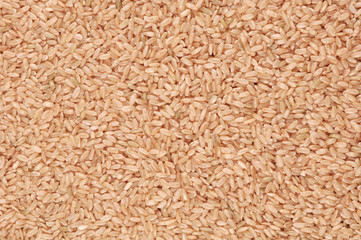 dry grain backgrounds