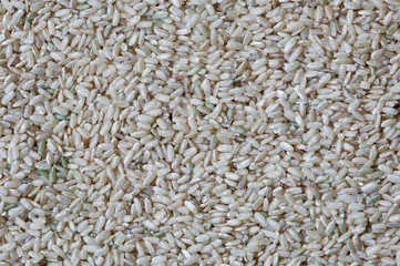 dry grain backgrounds