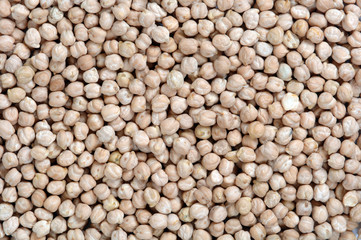 dry grain backgrounds