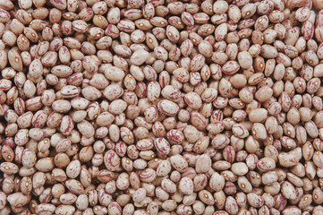 dry beans backdrop