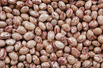 dry beans backdrop