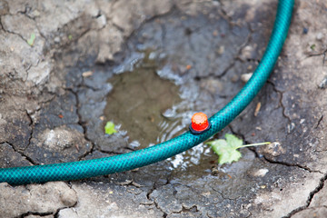 Drip irrigation system for vegetables