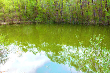 Obraz premium beautiful fine, lovely, pretty, attractive forest lake among the mountains of the North Caucasus