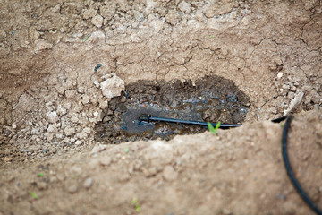 Drip irrigation system for vegetables