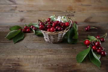 fresh organic cherries in a wicker basket with leaves and white flowers on the wooden rustic background. Healthy food concept. With copy space for text.